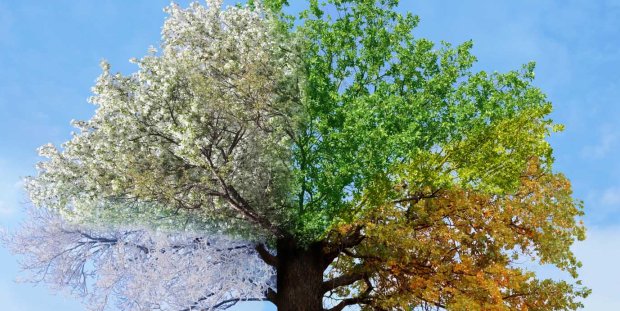 Hva betyr cop hvilken varmepumpe passer du bor featured