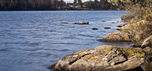 Sjøvarmepumpe – for deg som bor ved sjø eller vann – illustrasjon